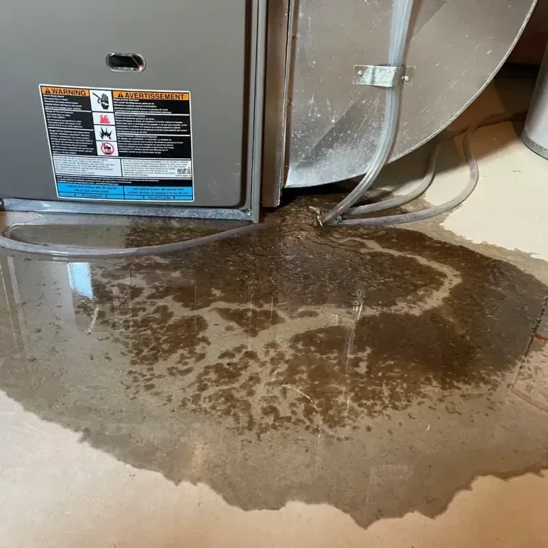 Appliance Leak Cleanup in Hutto, TX